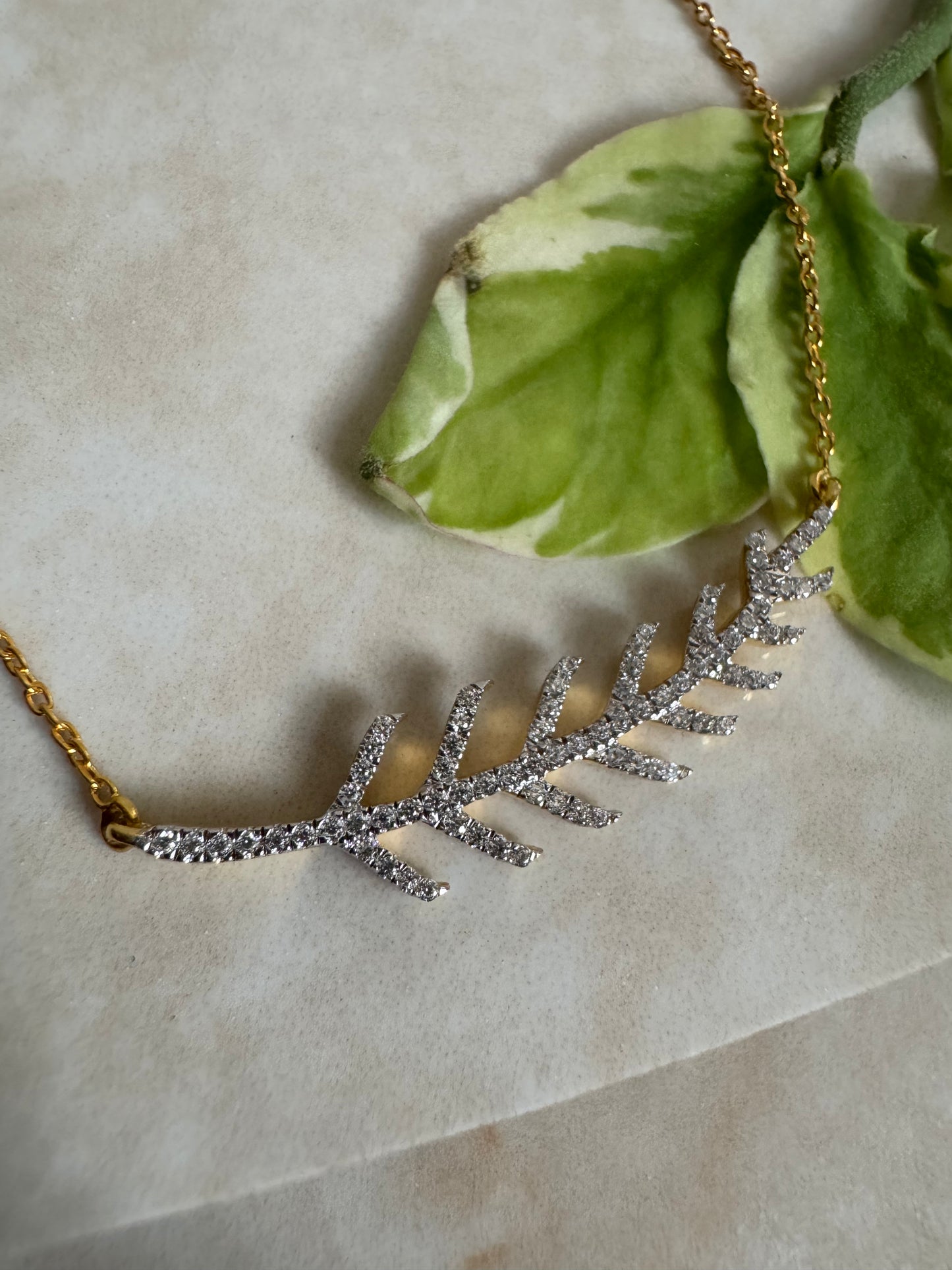 Seren Leaf